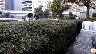 国产亚洲一区av🈲成人版黄草莓视频在线🈲希崎杰西卡无码 种子magnet